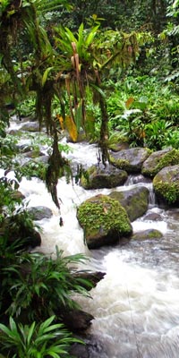 Image: Costa Rica