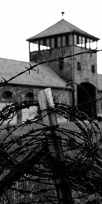 Travel Image: Auschwitz, Poland
