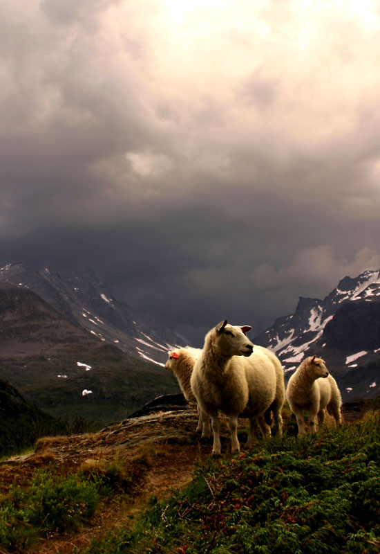 Travel Photo Essay: Norway