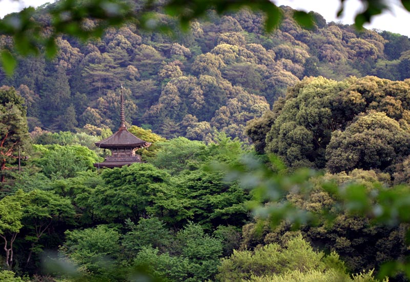 Kyoto
