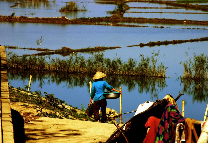Vietnam