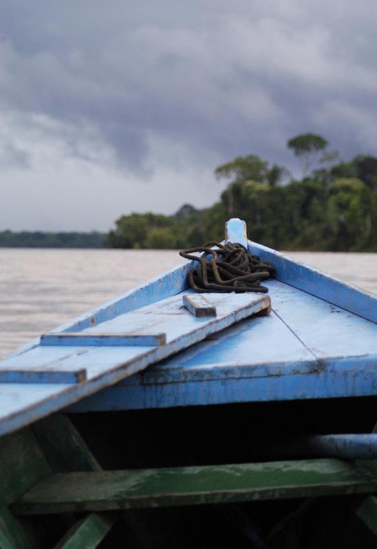 Peruvian Jungle