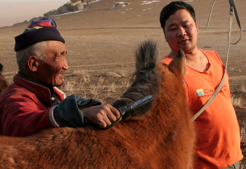 Mongolia
