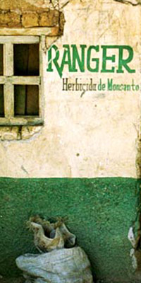 Image: Mexico