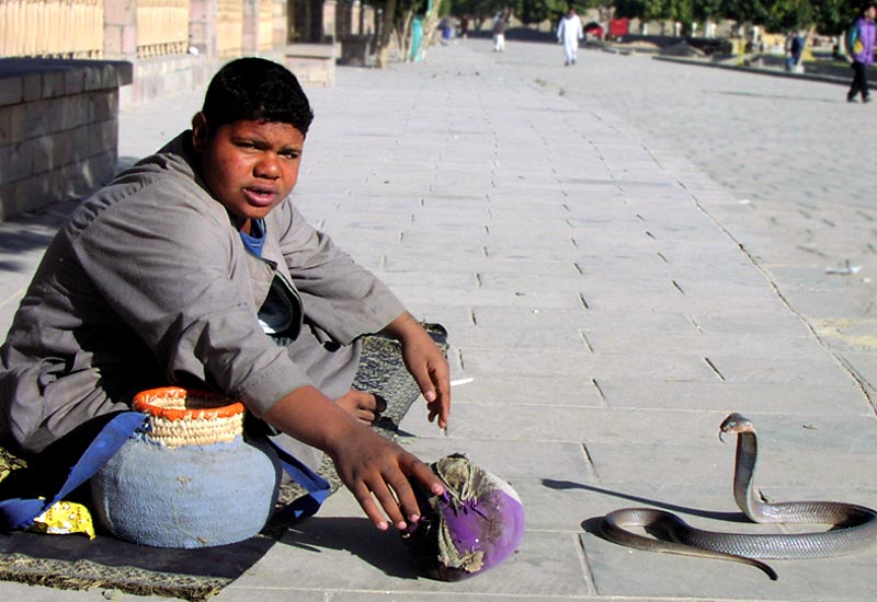 Photo Essay: Egypt