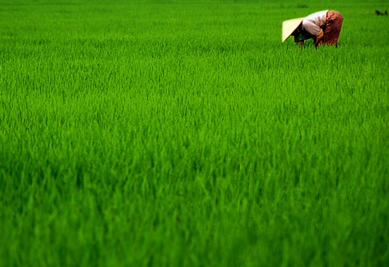 Photo Essay: Vietnam