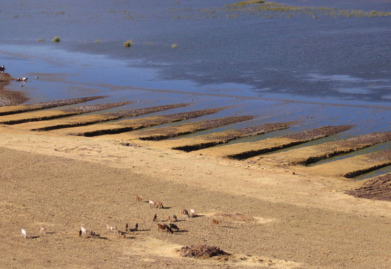 Photo Essay: The Andes